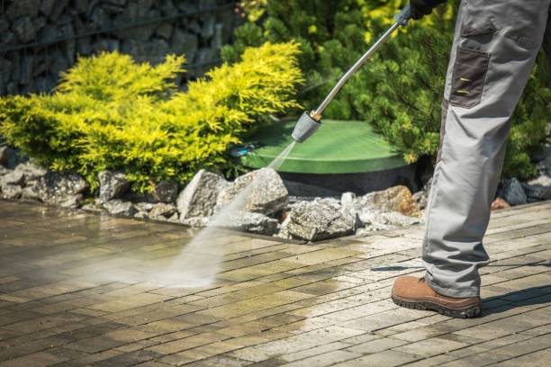 Reliable Maysville, GA Pressure Washing Services Solutions