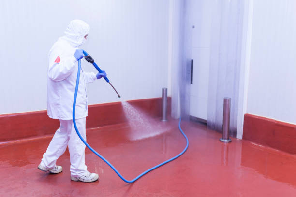 Best Building Exterior Washing  in Maysville, GA